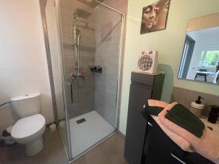 Magnifique Logement f2 Vosges La vôge-les-bains - 8