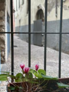 Duomo Nest entire apartment - 8