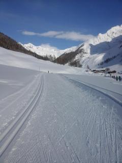 Pension & Appartament Anna - Predoi - 2