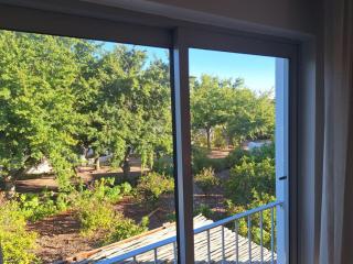 De Zalze - Golfers - 3