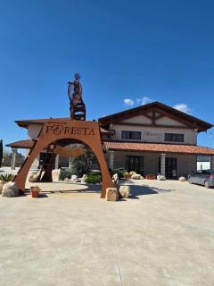 B&B Foresta Vini - 9