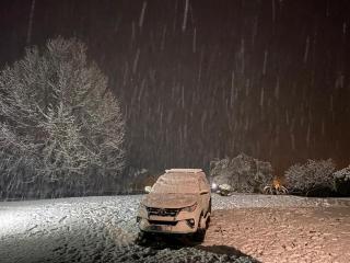 Haze Inn Cottages Wattle - 5