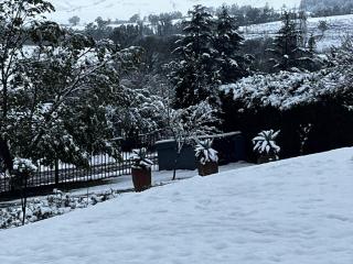 Haze Inn Cottages Wattle - 3