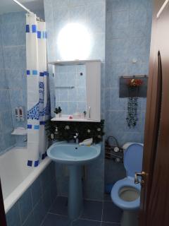 The Cozy West Apartment - 1