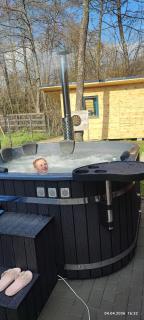 ART House Transylvania , Valea Avrigului , Sibiu - 8