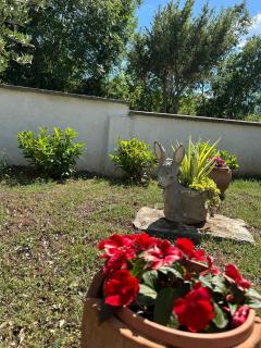 Mediterranean Olive WaterfallsKRKA-Croatia - Gulin - 6