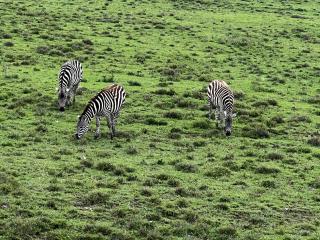 Sania Accommodation - 5