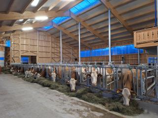 Loitzbauer Ferienwohnungen - 2