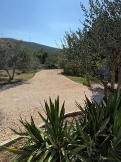 Mediterranean Olive WaterfallsKRKA-Croatia - Gulin - 3