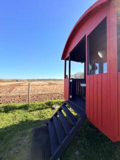 Roulotte op de weide - De Merel - 4