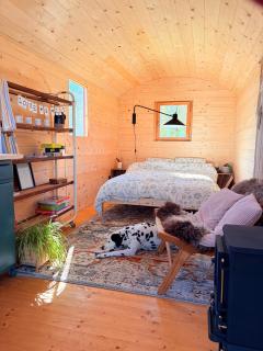 Roulotte op de weide - De Merel - 1