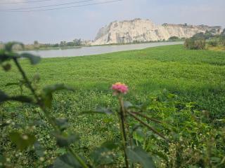 Radha Krishna Nivas - 3