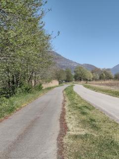 Casa vacanze il Picchio Rosso - 3