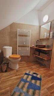 Pokoj pro 2 s vlastní koupelnou a minikuchyňkou - 5