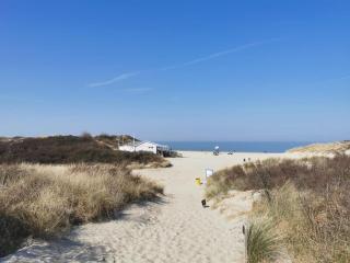 Luxus Chalet in Kamperland - 1