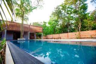 Viento - Habarana - 1