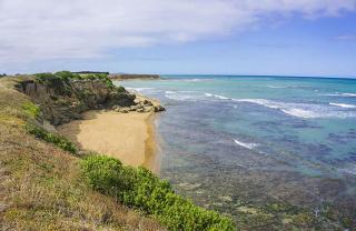 Beach Escape with Stunning Ocean Views & Sunsets - 5