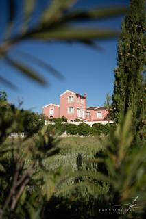 Villa Arta - 0