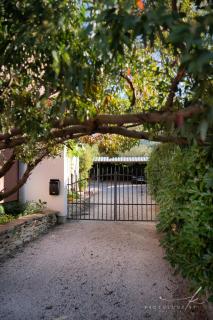 Villa Arta - 7