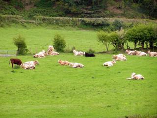 Erw-Lon Farm - 7