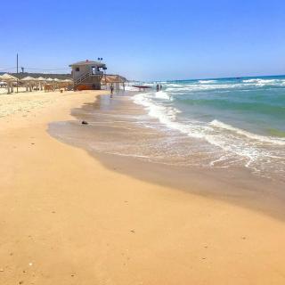 דירות מהממות עם ממ"ד וג'קוזי פרטי במרפסת בבניין חדש בדיזינגוף - Netanja - 1