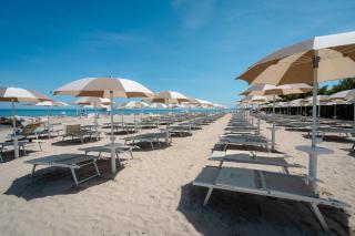 Club del Sole Stork Family Collection - 1