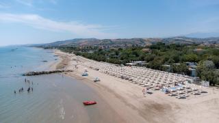 Club del Sole Stork Family Collection - 4