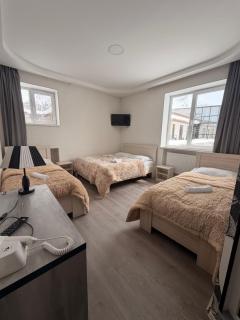 Hotel NOA Kazbegi - 8