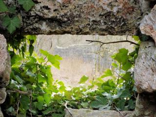 FeWo Die Dittrichs - 3