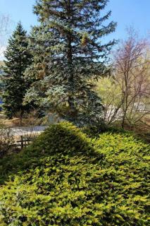 Csopaki promenade - 6