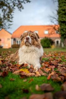 Art Apartment Sønderbygaard - 5