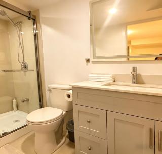 Brand New Basement Suite Private Batheroom Near 404 & shop - 3