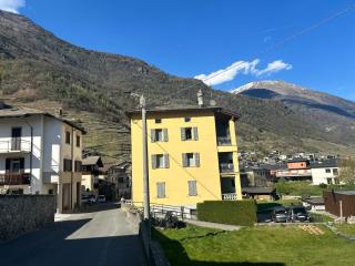 vivi your family - 8