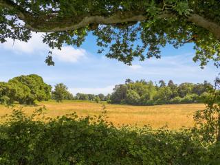 1 Bed in Combe St. Nicholas oc-b35052 - 8