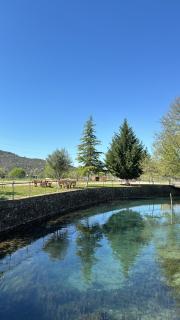 Bar Restaurant Hotel Poçemi - 5