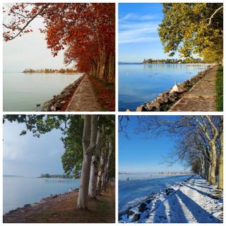 Keltafok Apartman, Balatonföldvár - 0