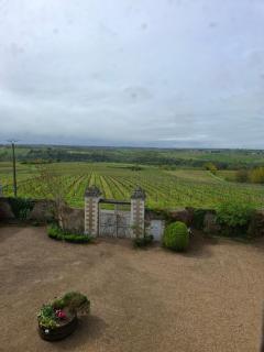 Château de la GENAISERIE - Chambres d'hôtes - 6