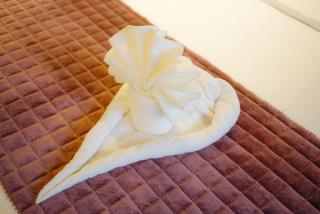 Hotel Maratha Palace - 3
