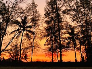 Tomorrow Sunrise พรุ่งนี้ก็เช้าแล้ว - 4