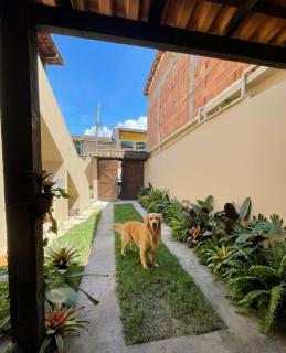 Casa Azalea- seu refugio de outono em paraty e pet friendly - 3