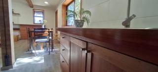 El gran Jacarandá - 7