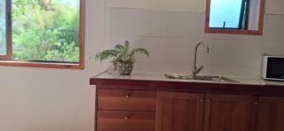 El gran Jacarandá - 5