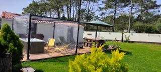 A PINTEGA DAS DUNAS - 1