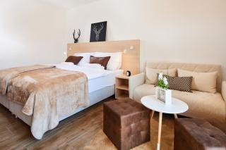 Pure Mountain Alpin Lodge Flachau - 2
