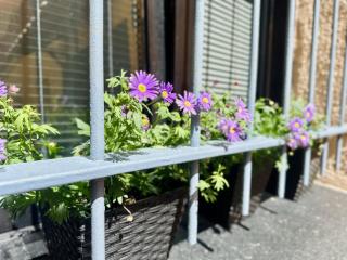 LA IMPRENTA - ENCANTO EN EL CENTRO DE SANTANDER - 9