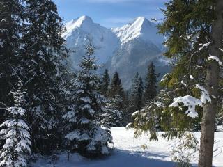 Wellness Penzion Strachan - 2