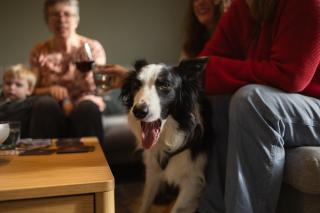 Le Hâvre de la Forêt - 8