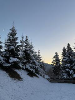 Casa Mulin Laax - 9
