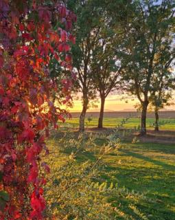 Le Chai d'Auguste - 6