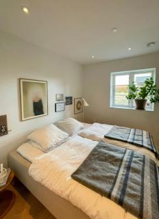 Lakeside Villa In Scenic Virklund - 4